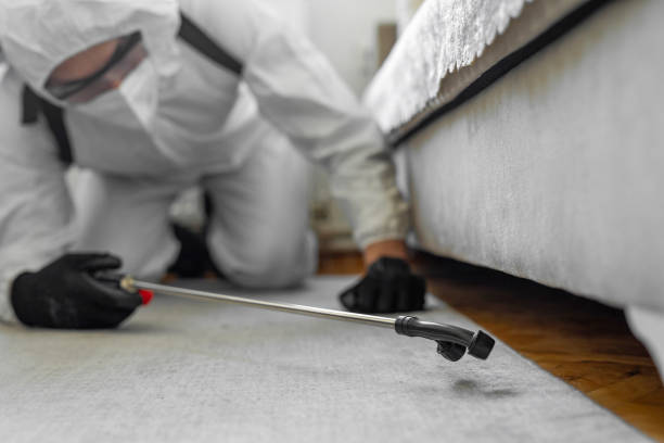 Professional Bed Bug Control technician working in Clark County County, KY